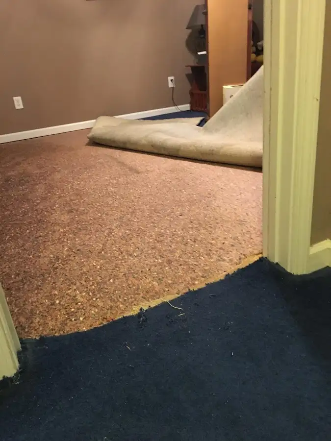Carpet pad removal revealing water damage during Drying & Dehumidification in Clarksdale