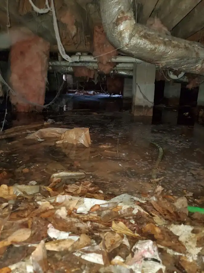 Crawl space flood assessment for Commercial Water Damage Restoration in Clarksdale
